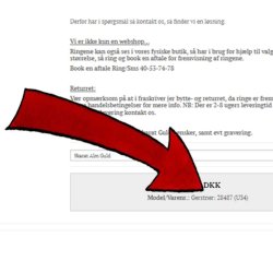 Prveringe og Ringmler