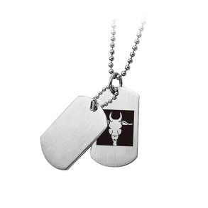 Stjernetegn - Stenbuk